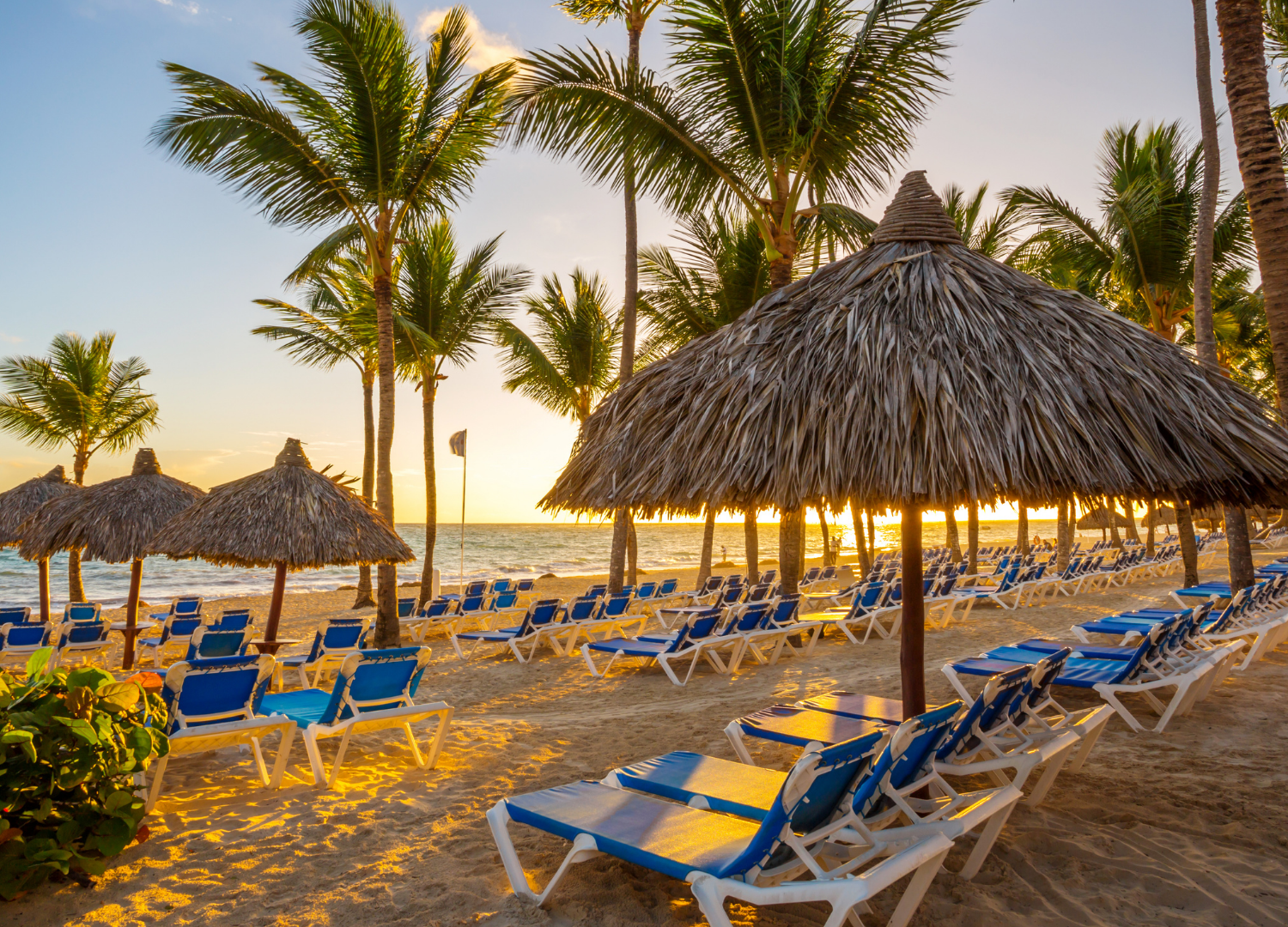 PUNTA CANA - Transfer grátis